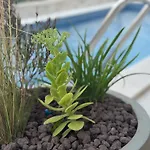 Aura Adriatica Olive - Luxury Apartment, Private Pool, Sea View, Parking